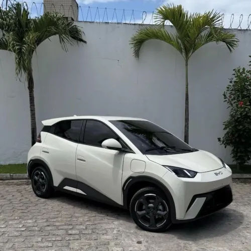 BYD Dolphin Mini (Elétrico) 2025