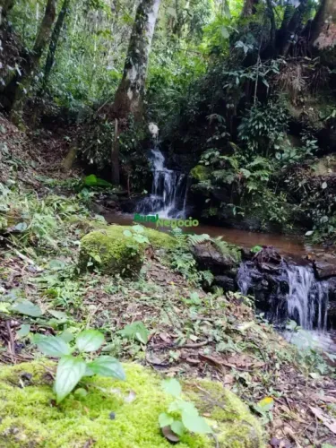 Belíssimo Sitio com 130.600 m², com Pomar e Horta de Orgânicos, Delfim Moreira/MG