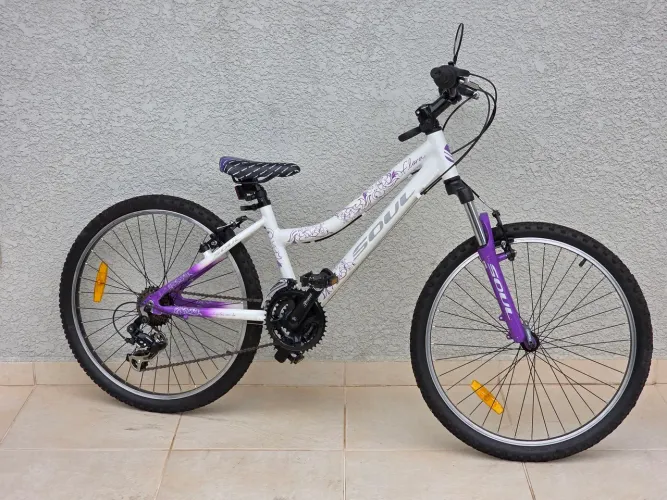 Bicicleta Aro 24 (Feminina)