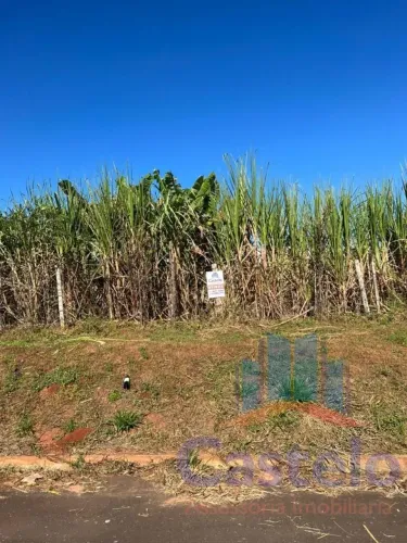Terreno para Venda em Umuarama / PR no bairro Jardim Europa