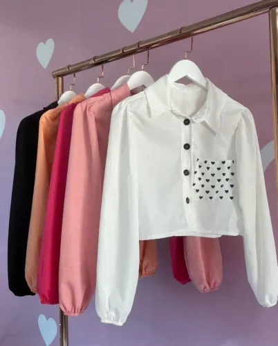 Blusas feminina social