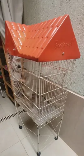 Viveiro grande para aves em geral