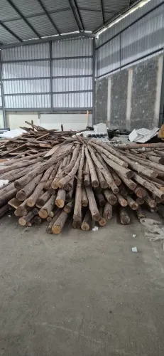 Pontaletes de eucalipto 4.5M