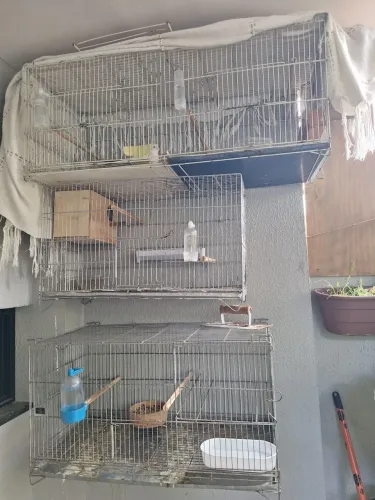 3 gaiolas para venda