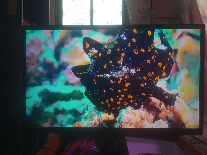 TV LG 28 Polegadas
