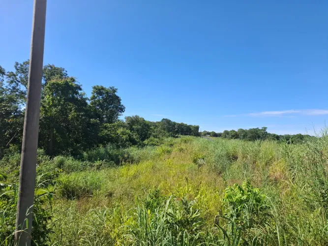 Vendo area de 3.5 hectares, com preço IMPERDÍVEL, no Aguaçu