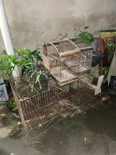 Viveiro Grande de Ferro para Codornas, Coelhos ou Aves