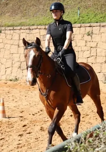 Cavalo Lusitano Jundiaí