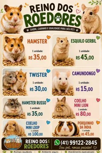 Hamster e coelhos