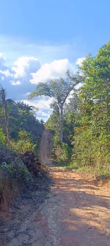 Terreno