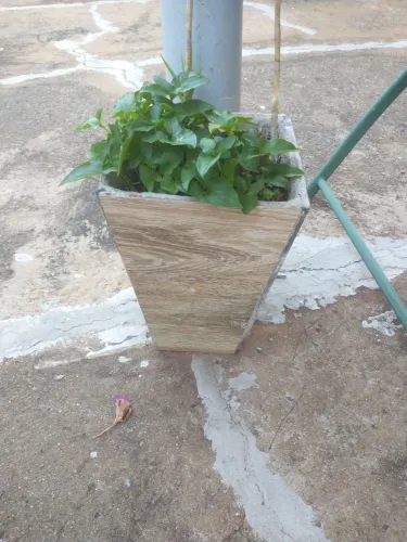 Desapego 5 vasos de cerâmica com plantas pôr 90,00