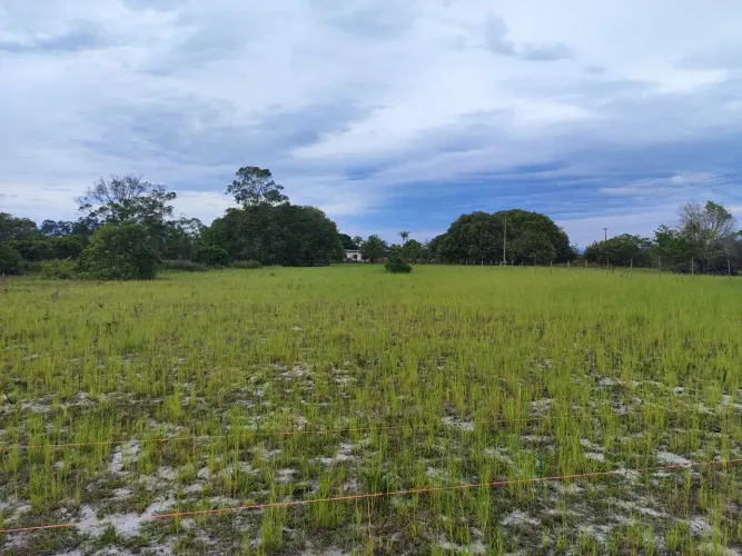 Area na Penha Quissamã com 5 Mil M2