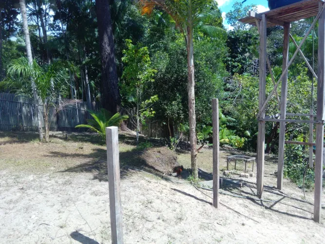Terreno com igarapé