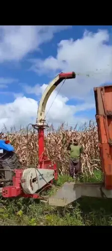 VENDO ENSILADEIRA NOGUEIRA PECUS 2004 COM HIDRÁULICA 