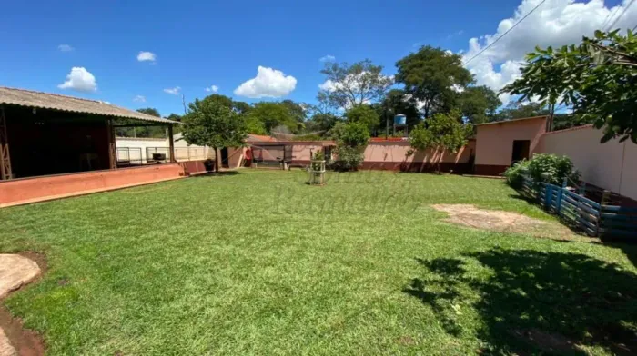Chácaras/Imóveis Rurais RanchoSítio em Ribeirão Preto