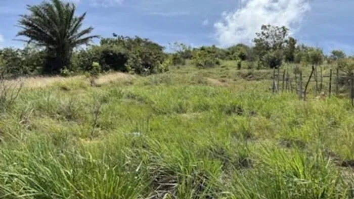 Leilão - Terreno - De R$490.000,00 Por R$245.000,00