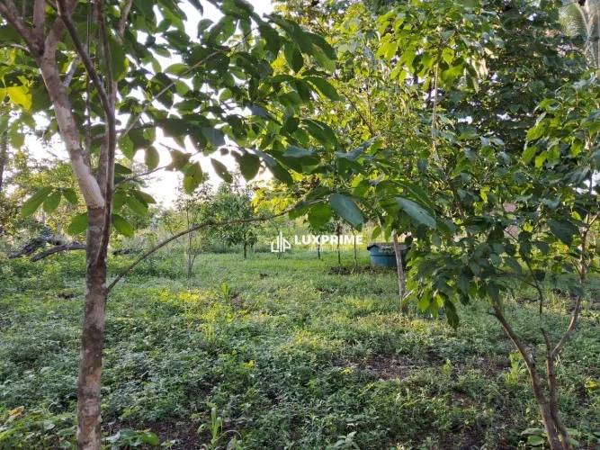 Chácara à Venda, 6.503 m² por R$ 450.000,00 - Taquarussu - Palmas/TO
