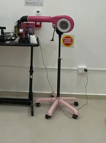 secador banho e tosa