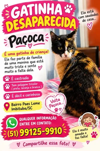 Gatinha perdida