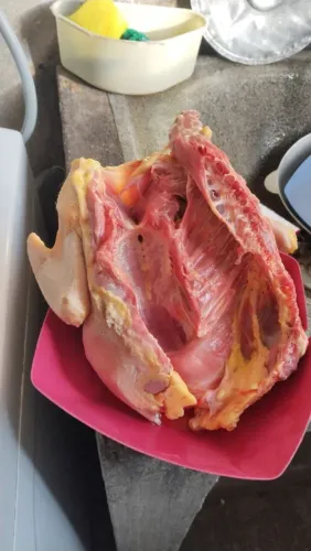 Venda de frango/as tratadas ou vivos, aves saudáveis e gordas criadas no sistema caipira 