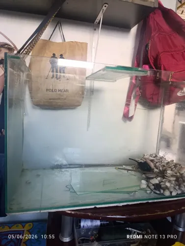 Aquario 