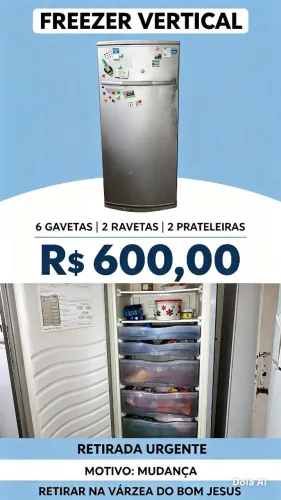 Freezer vertical