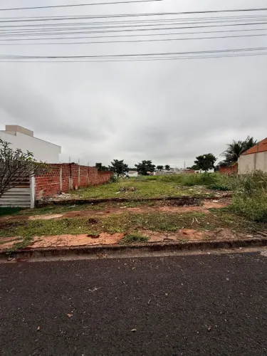 Meia Data Jardim Oriental