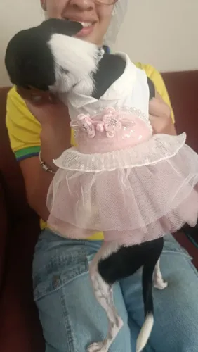 Vestido de pet