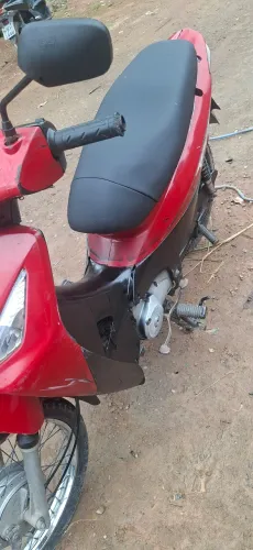 Biz pra roça leia