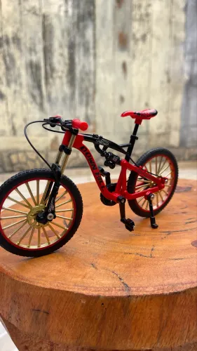MINI BIKE COLECIONADOR