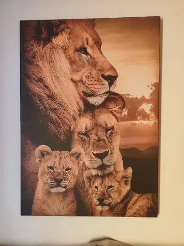 Quadro decoração 