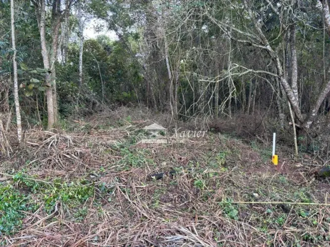 Terreno à venda, 2552 m² por R$ 170.000,00 - Taipas de Pedra - São Roque/SP