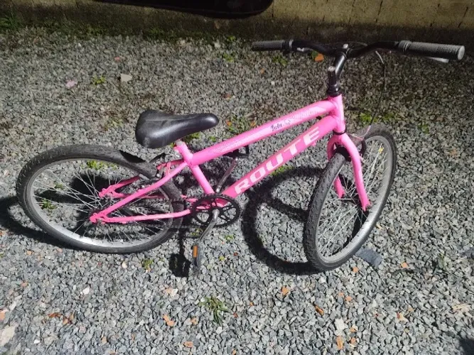 Bicicleta infantil feminina aro 20