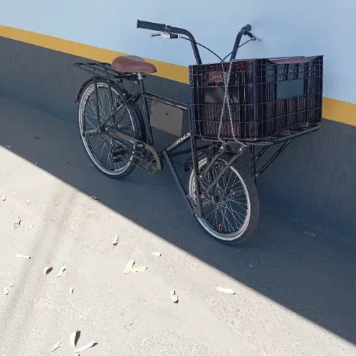Bicicleta cargueira