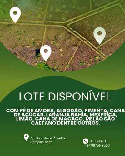 Terreno/ Lote com Pomar Disponível 