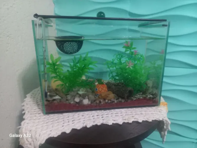 Lindo aquario completo 