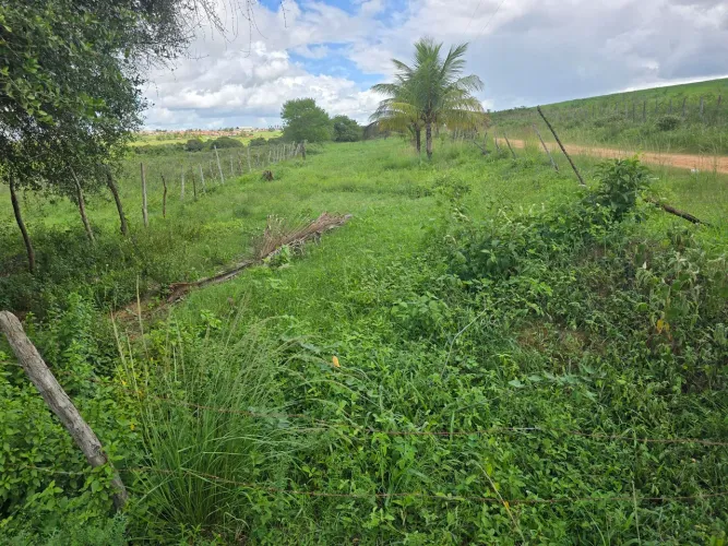 VENDE-SE TERRENO