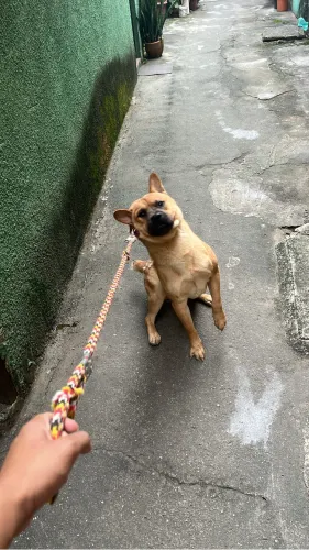 estou doando