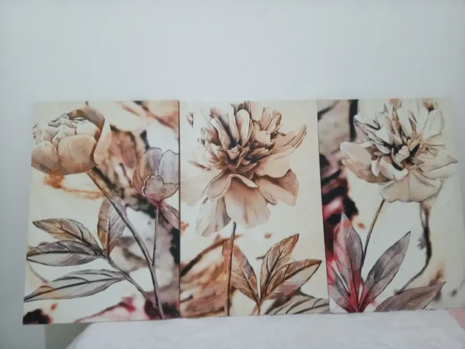 Quadros de tela