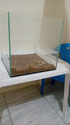Aquário Cubo 30x30x30 Com bomba externa 500 L /H