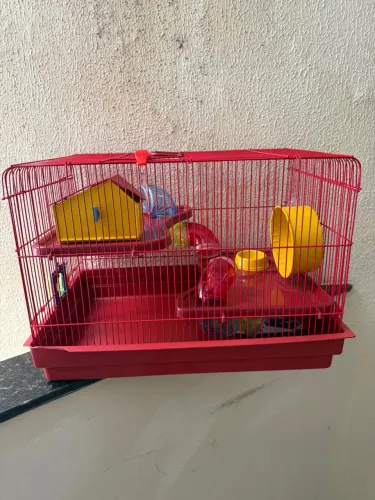 Gaiola Para Hamster Big Space Completa