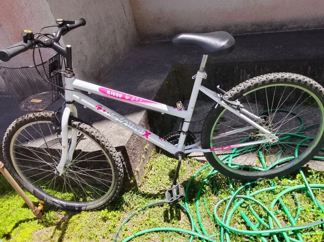 Bicicleta feminina