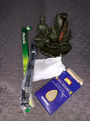 Vendo Imagem Budista De Ferro com Incensos