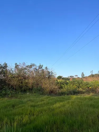 Terreno no Povoado Manibu, medindo 6,30 tarefas 