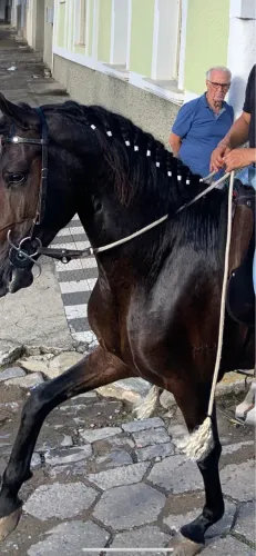Rédea aberta 