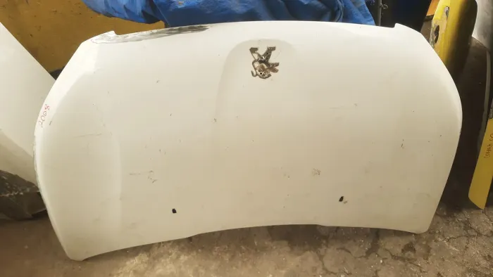 Capo do Peugeot 2008
