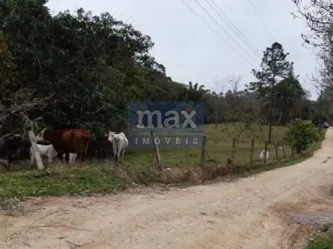 Terreno em Zona Rural Com Área de 32.249,84 m², Bairro Paciência em Itajaí