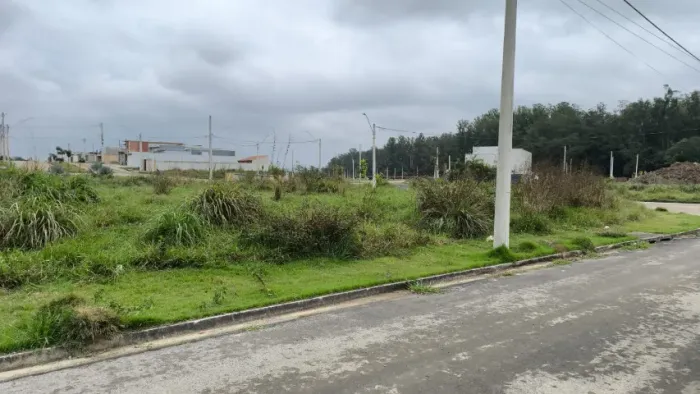 Vendo Terreno 175m2 no Portal dos Passaros após a Cecal