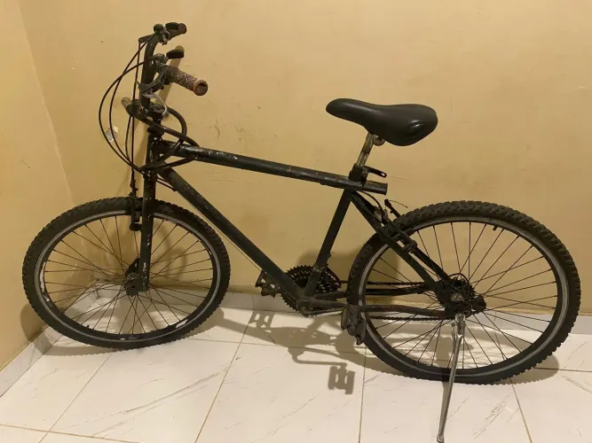 Bicicleta Aro 29