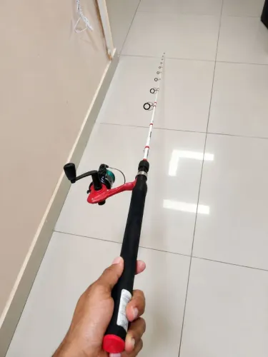 ? Vara de pesca + molinete